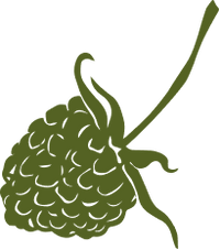 Decorative image